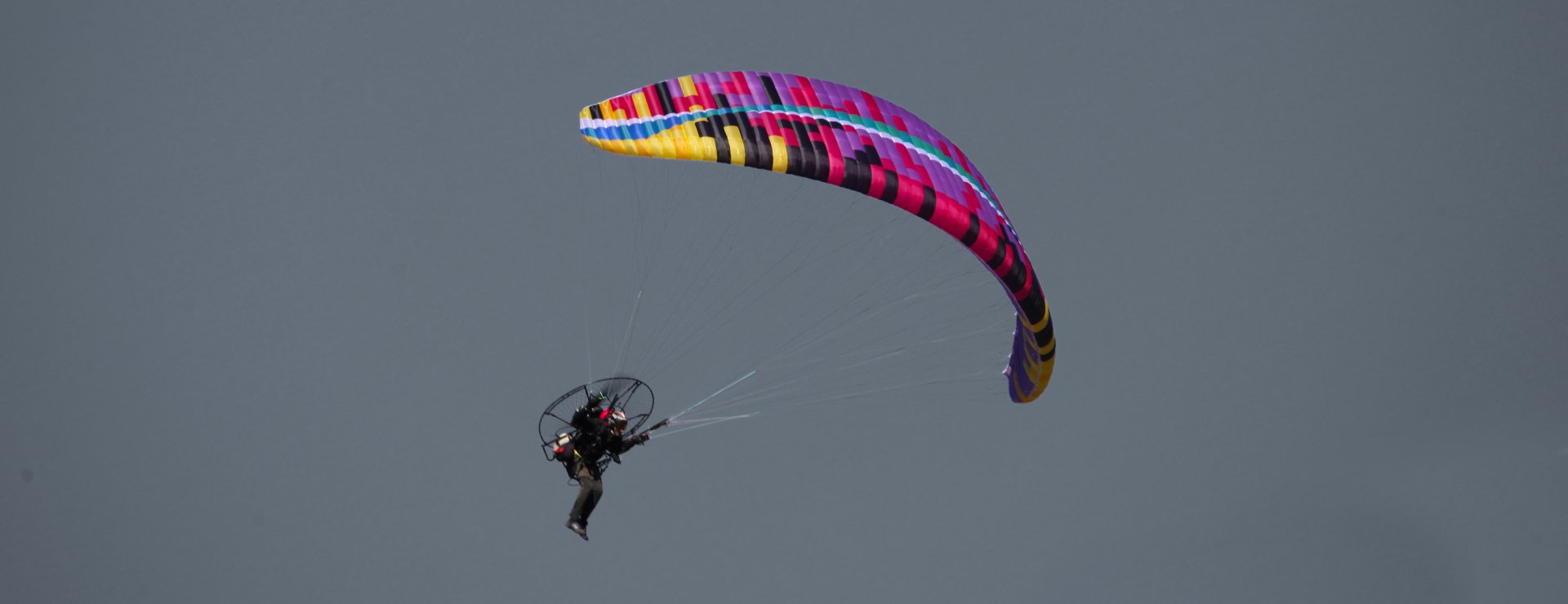 BGDパラモーター