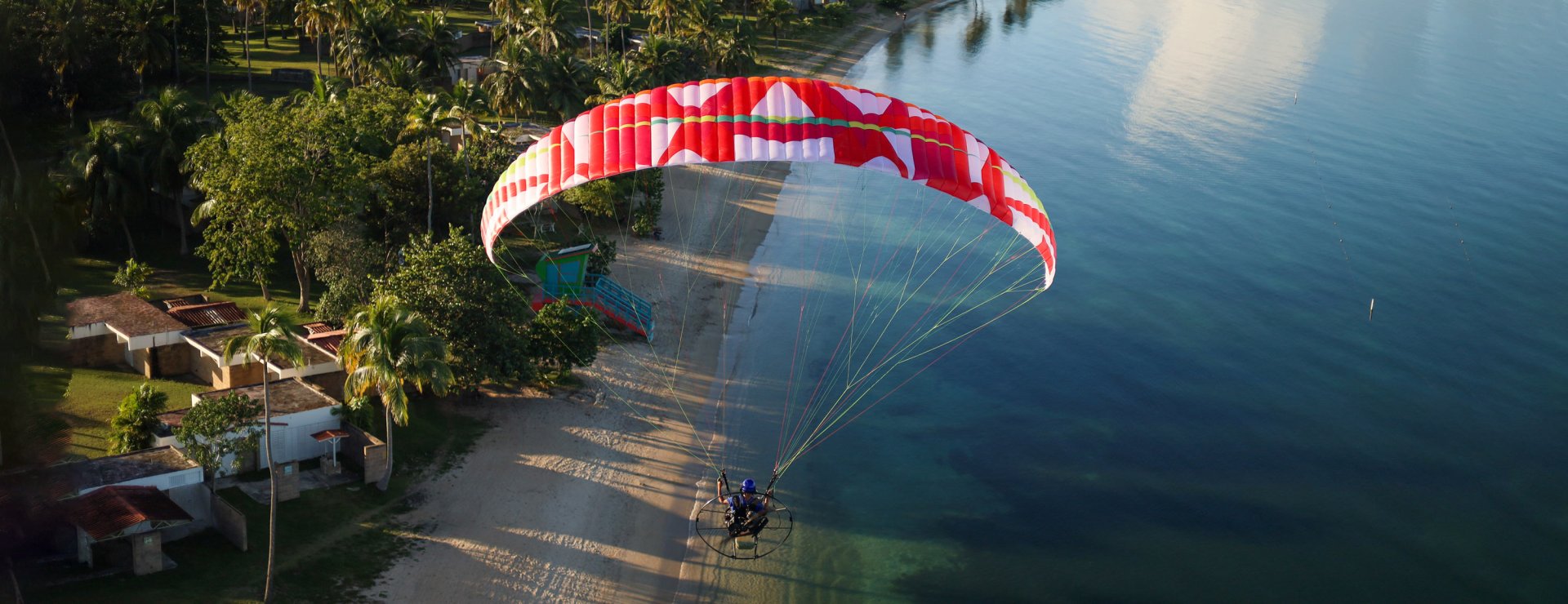 BGDパラモーター